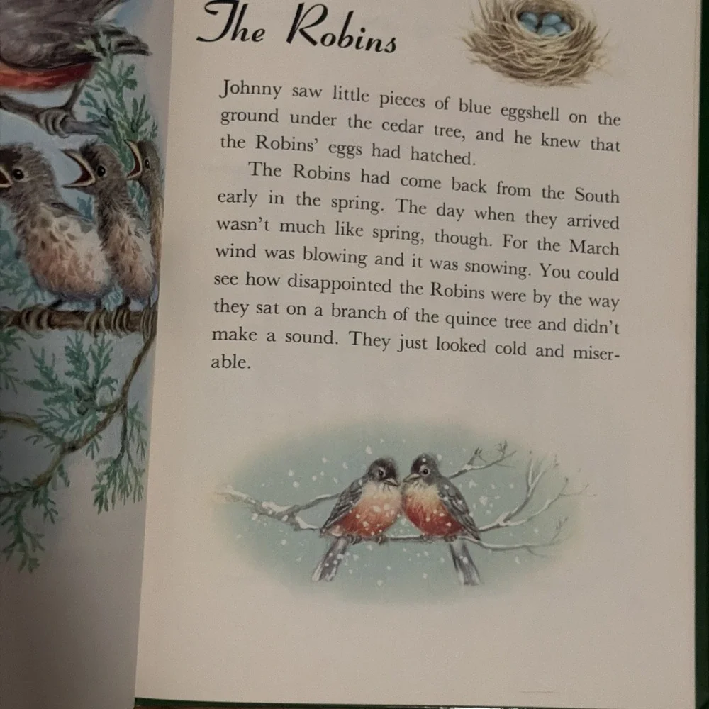 Vintage 1950 Junior Elf Book- Johnny and the Birds by Ian Munn, Rand McNally